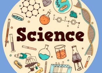 Year 10 Investigate Metals